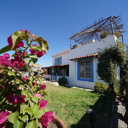 Santerra, Valle De Guadalupe Esterno foto