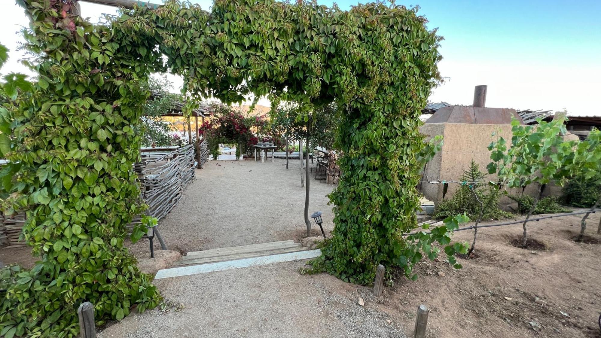Santerra, Valle De Guadalupe Esterno foto