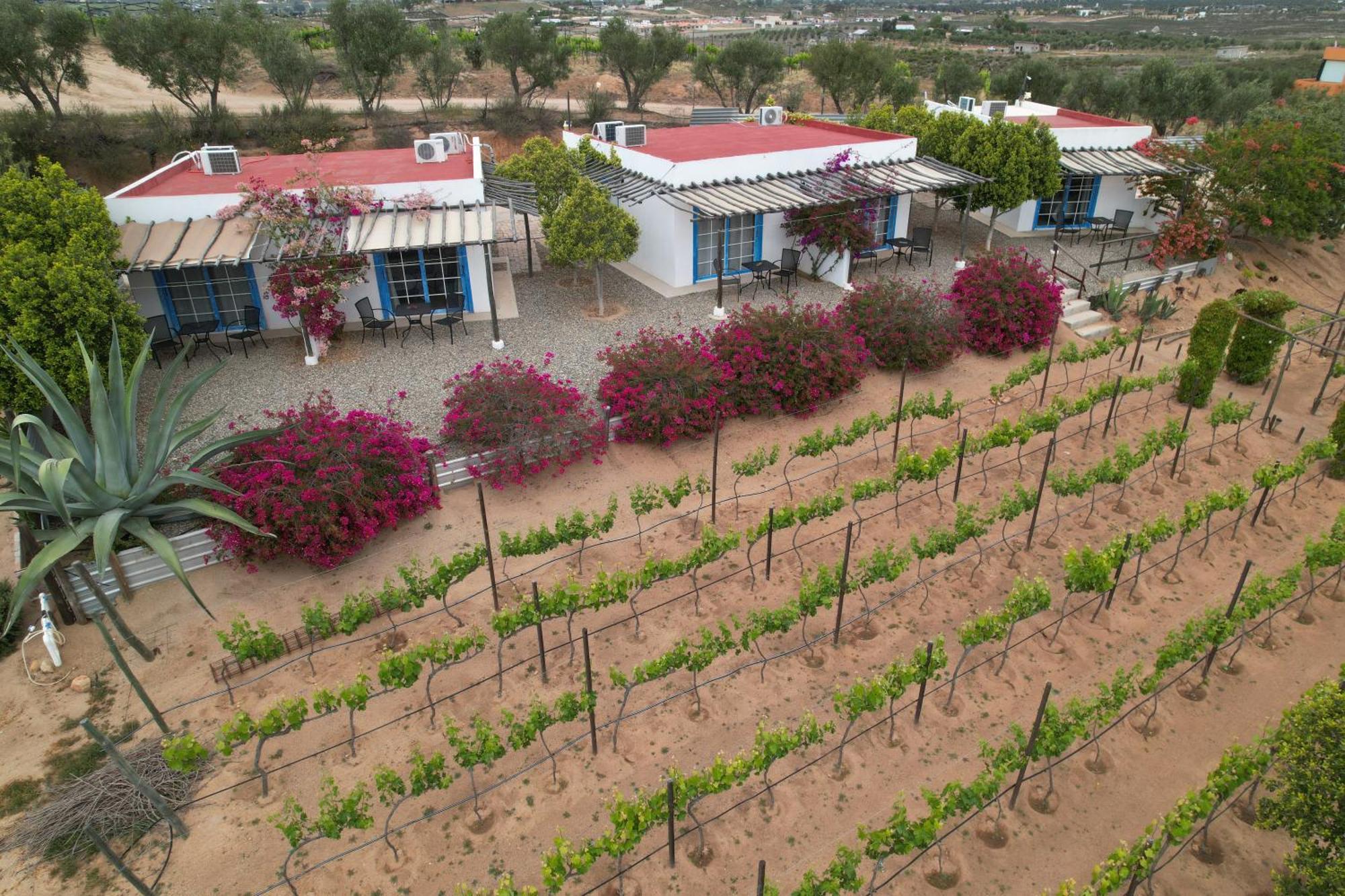 Santerra, Valle De Guadalupe Esterno foto